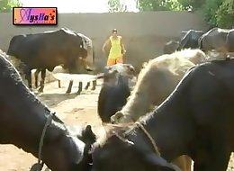 NADIA ALI HOT MUJRA GUJJRA WAY.flv