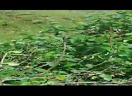 xvideos.com 8a0b6b69577675ad0c6c4c94a71b264a